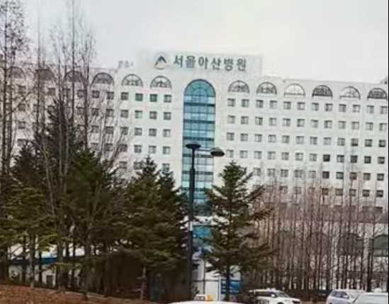 서울 빅5병원중 하나인 서울아산병원 전경.